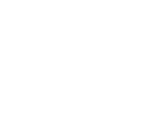 Portfólio Bruno Braz